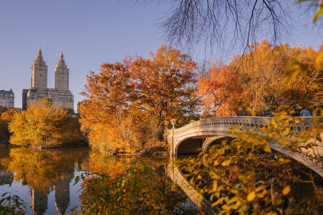 Largest NYC Parks
