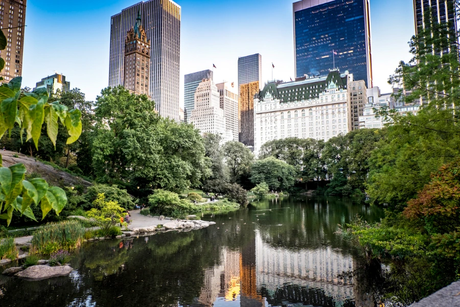 New Development: A Clear Kips Bay Advantage