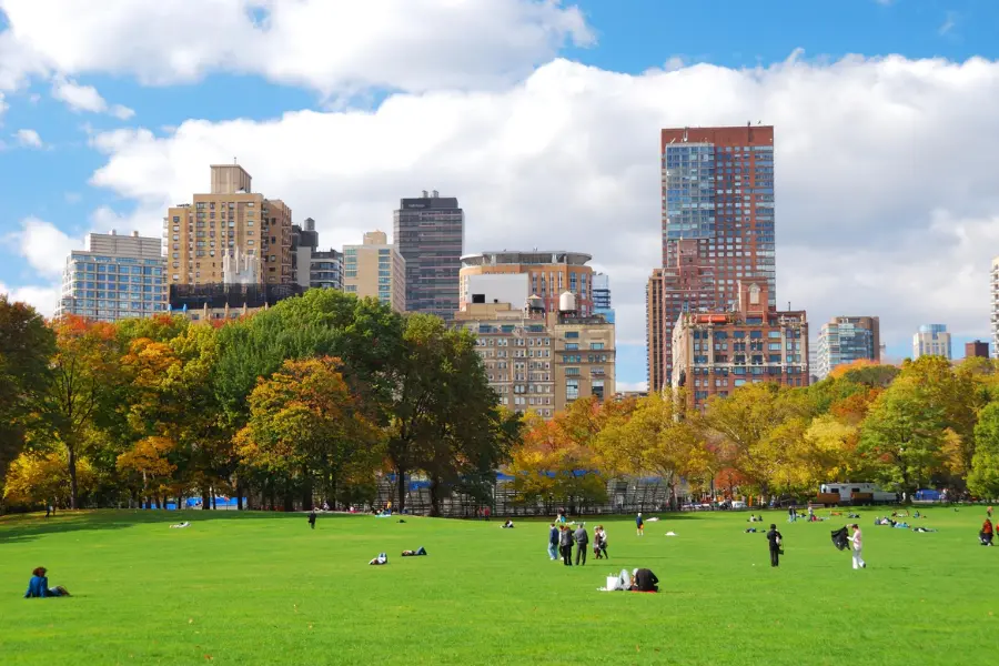 The Investment Comparison