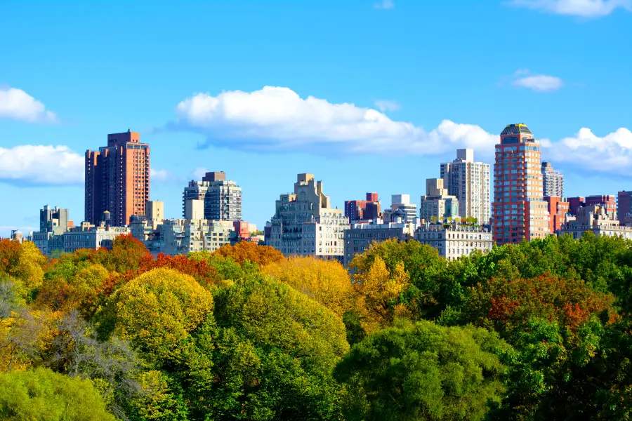 Upper East Side Co-op Board Package: What Boards Review