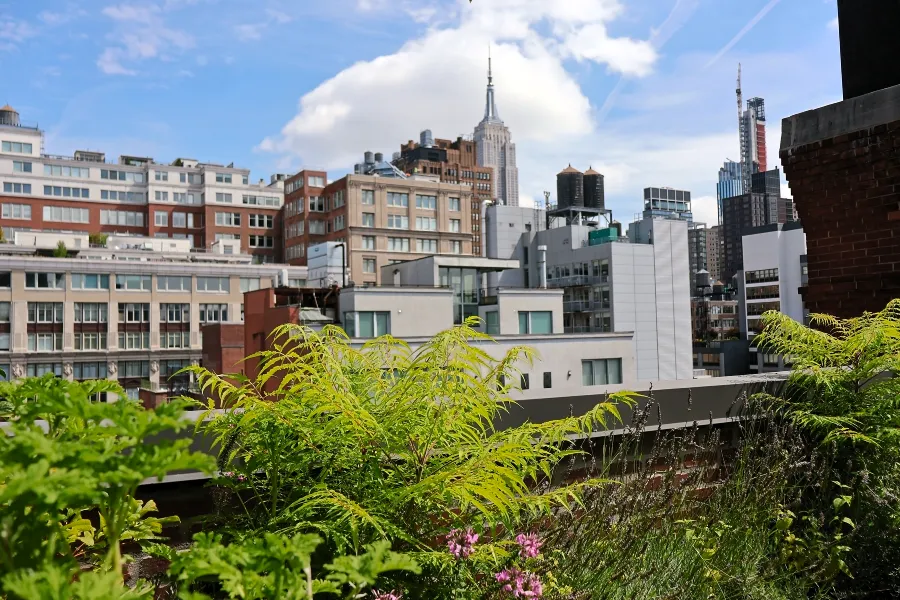 Selling New Development Before Amenities Open